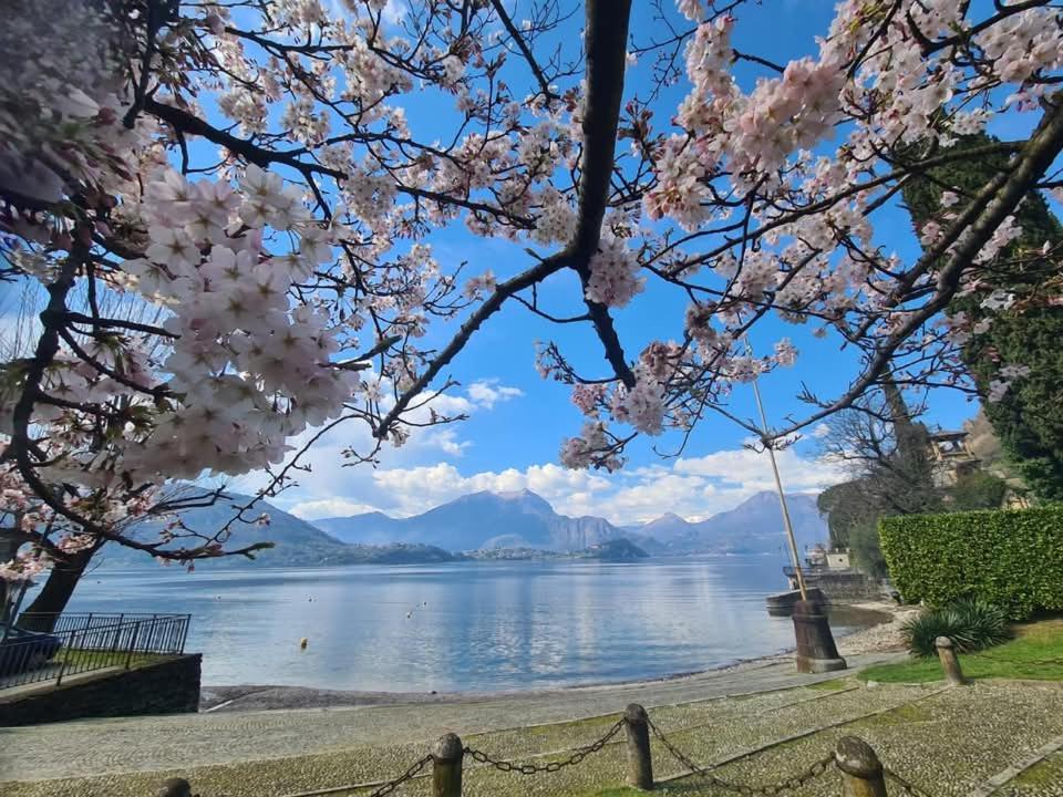 Laura'S Cottage With Lake View, Detached, 5 Kilometers From Varenna Lierna Exteriér fotografie
