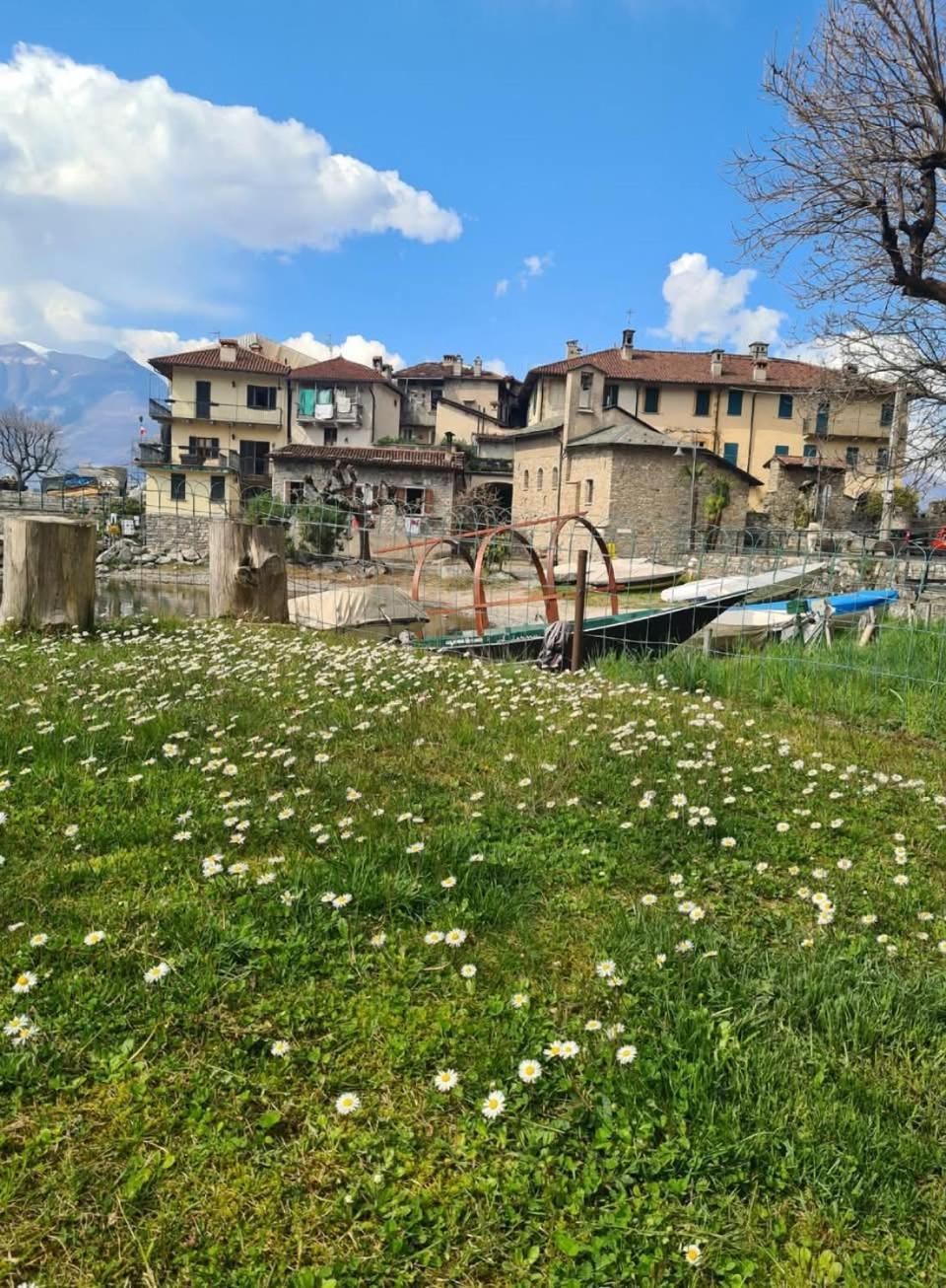 Laura'S Cottage With Lake View, Detached, 5 Kilometers From Varenna Lierna Exteriér fotografie
